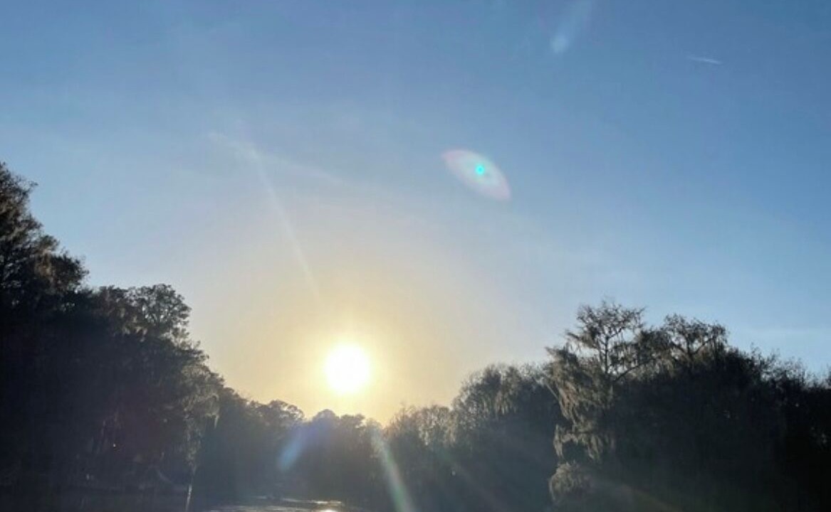 Photo of Others in Citrus Springs