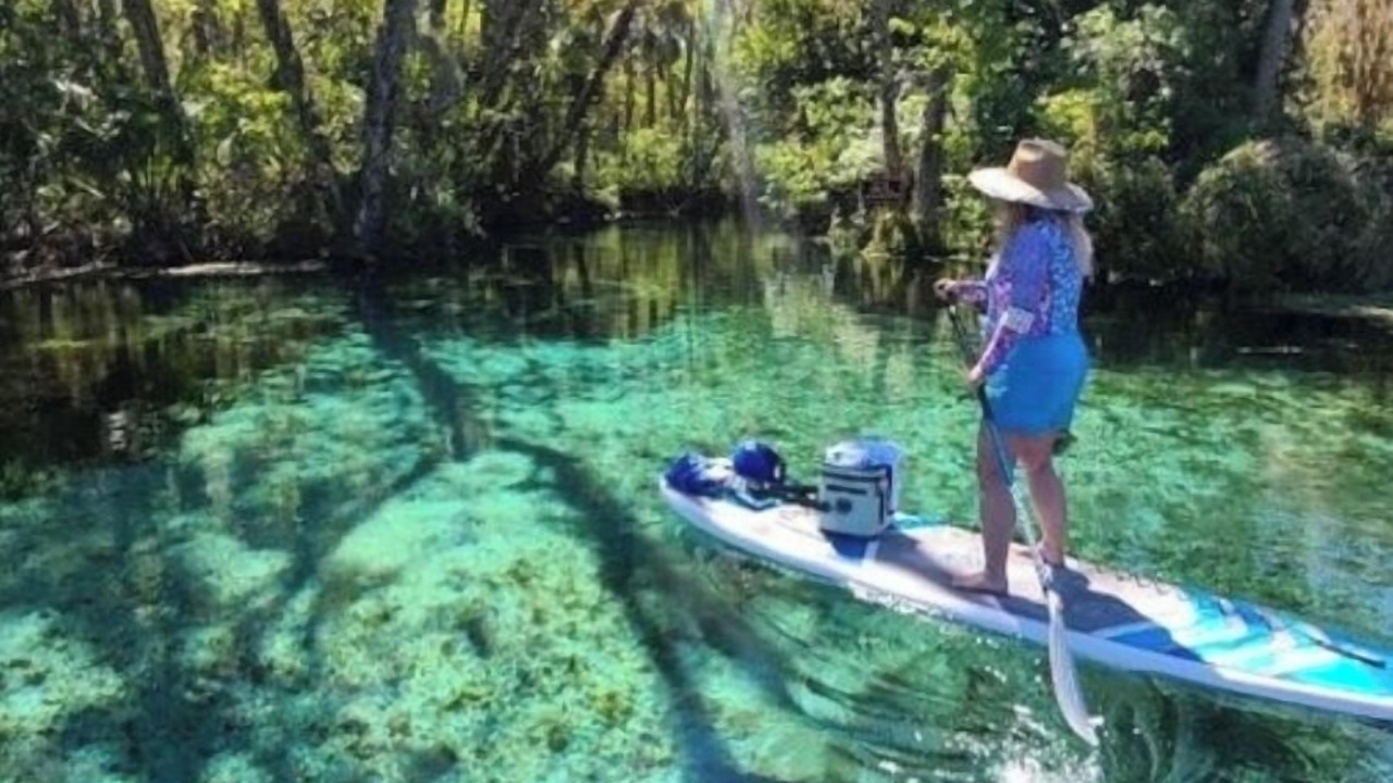 Photo of Others in Citrus Springs