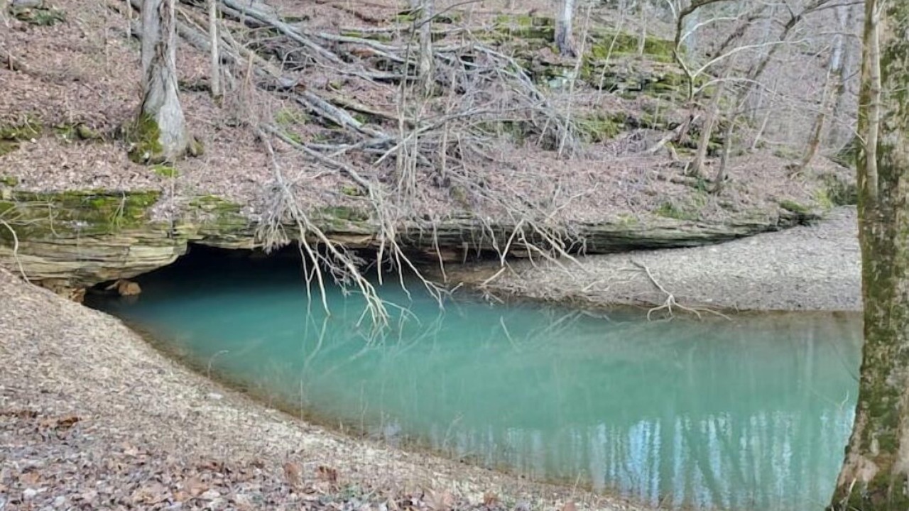 Photo of Others in Rock Island