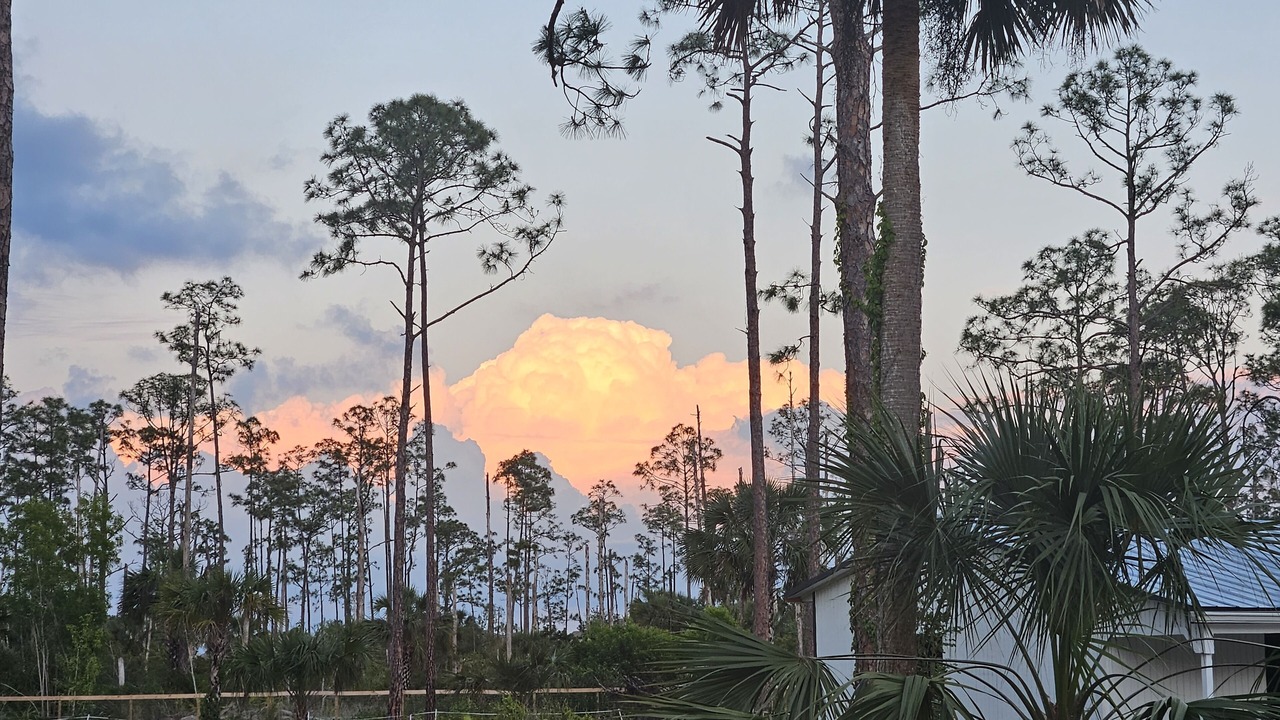 Photo of Others in Estero