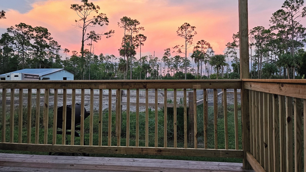 Photo of Others in Estero