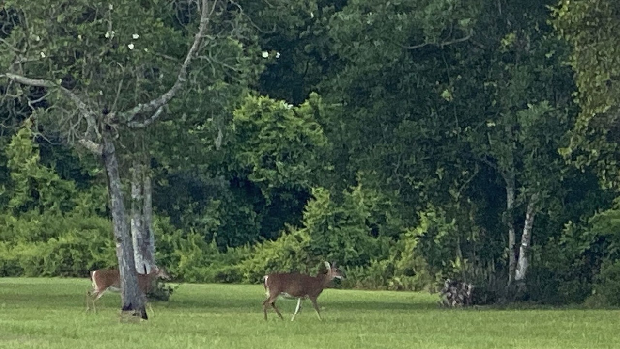 Photo of Others in St. Cloud