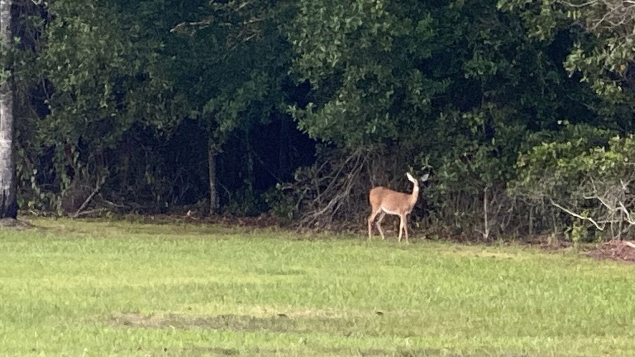 Photo of Others in St. Cloud