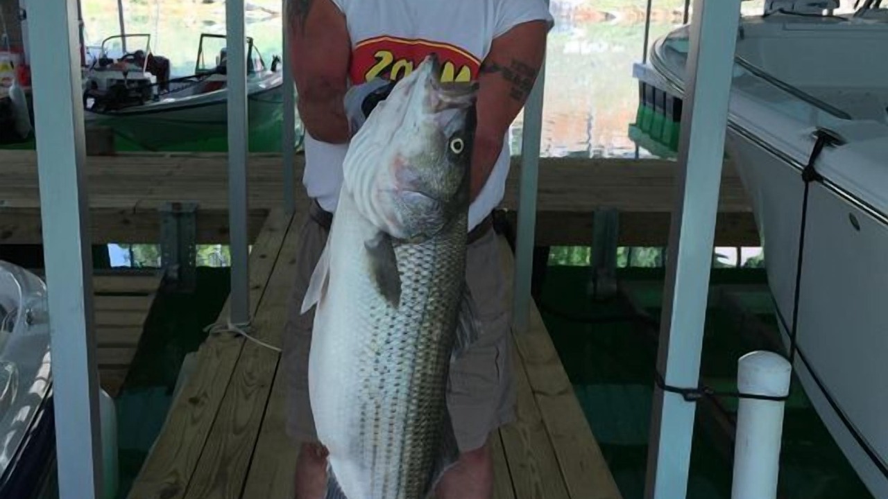 Photo of Others in Jacksboro