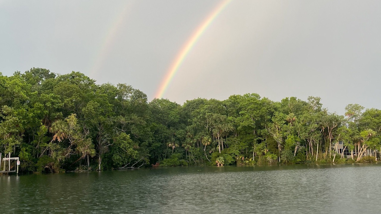 Photo of Others in Homosassa