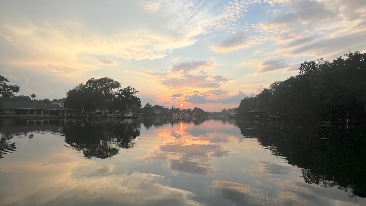 Photo of Others in Homosassa