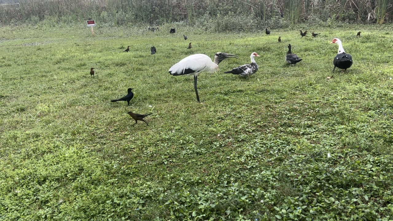 Photo of Others in Lakeland