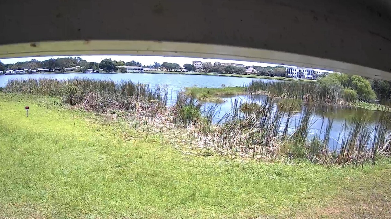 Photo of Others in Lakeland