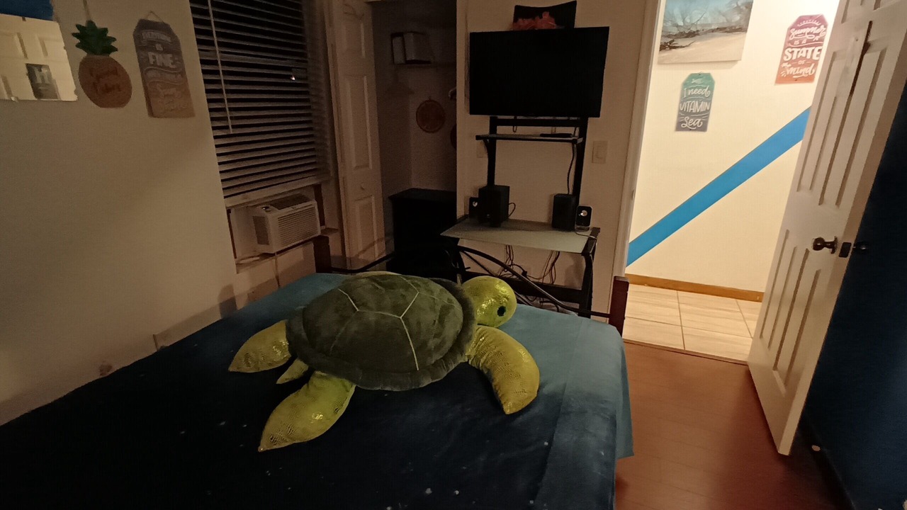Photo of Bedroom in Pelican