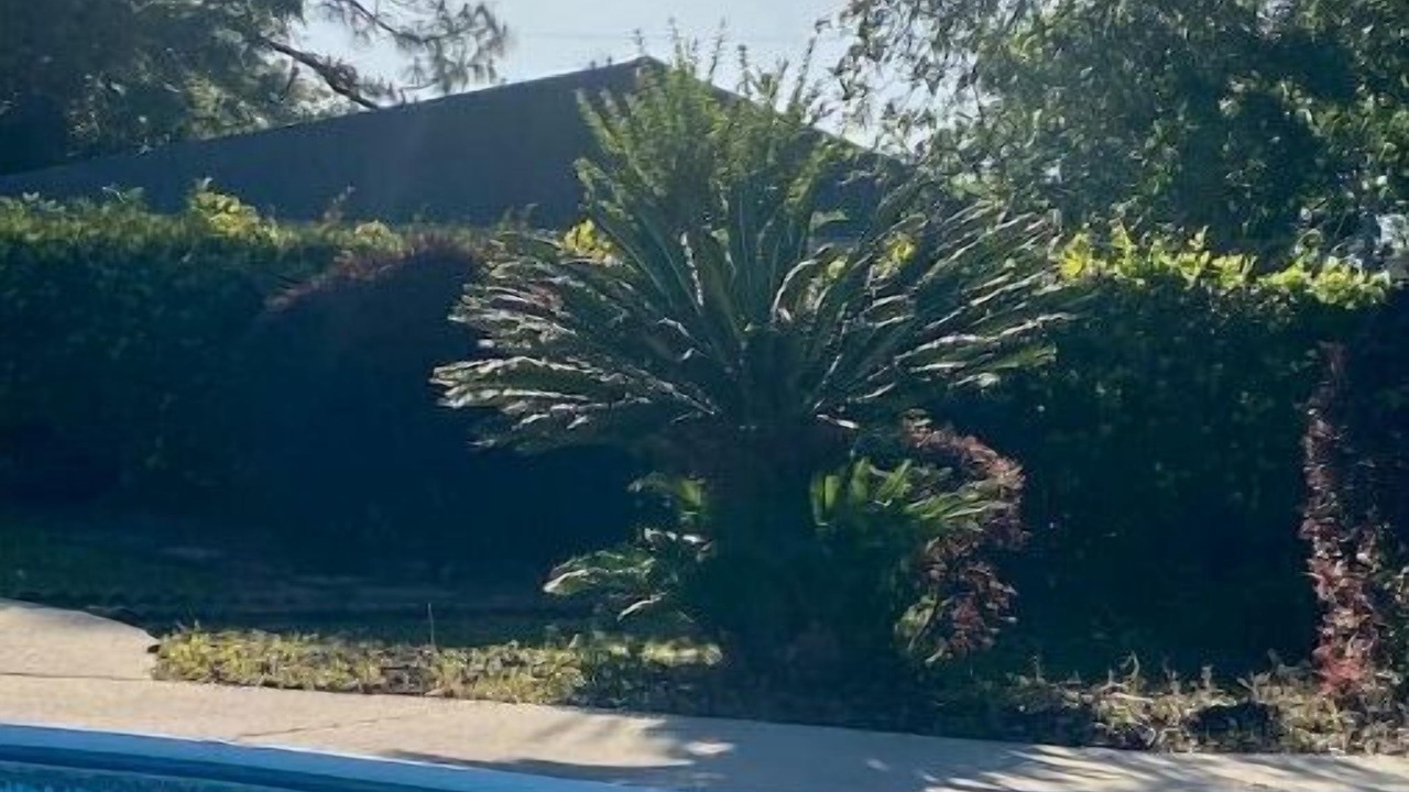 Photo of Outdoor in Scenic Heights