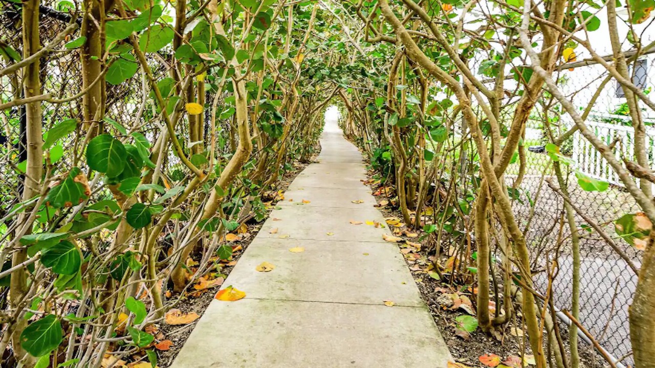 Photo of Outdoor in Palm Beach Shores