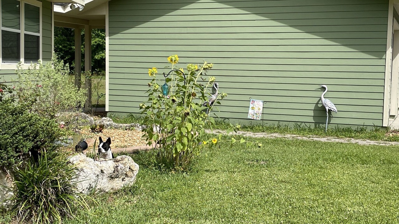 Photo of Outdoor in Alachua