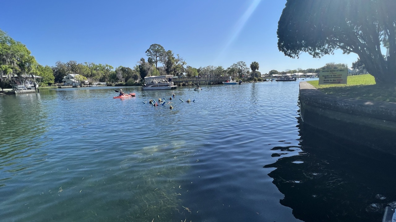 Photo of Others in Springs at Kings Bay