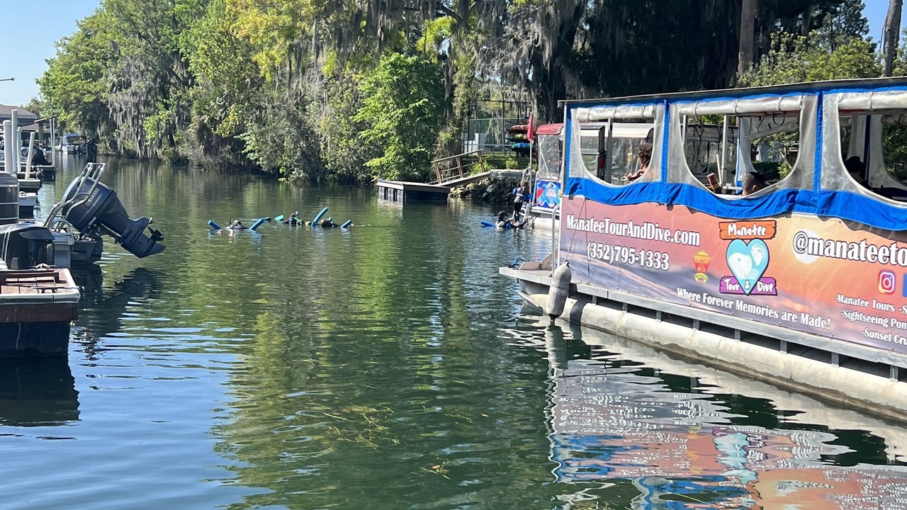 Photo of Others in Springs at Kings Bay