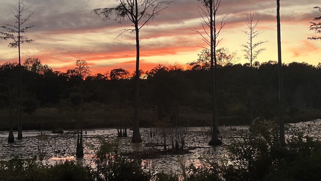 Photo of Outdoor in Bonifay