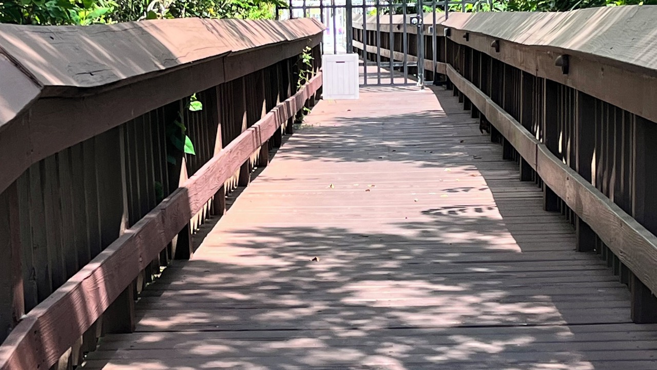 Photo of Outdoor in Pelican Bay