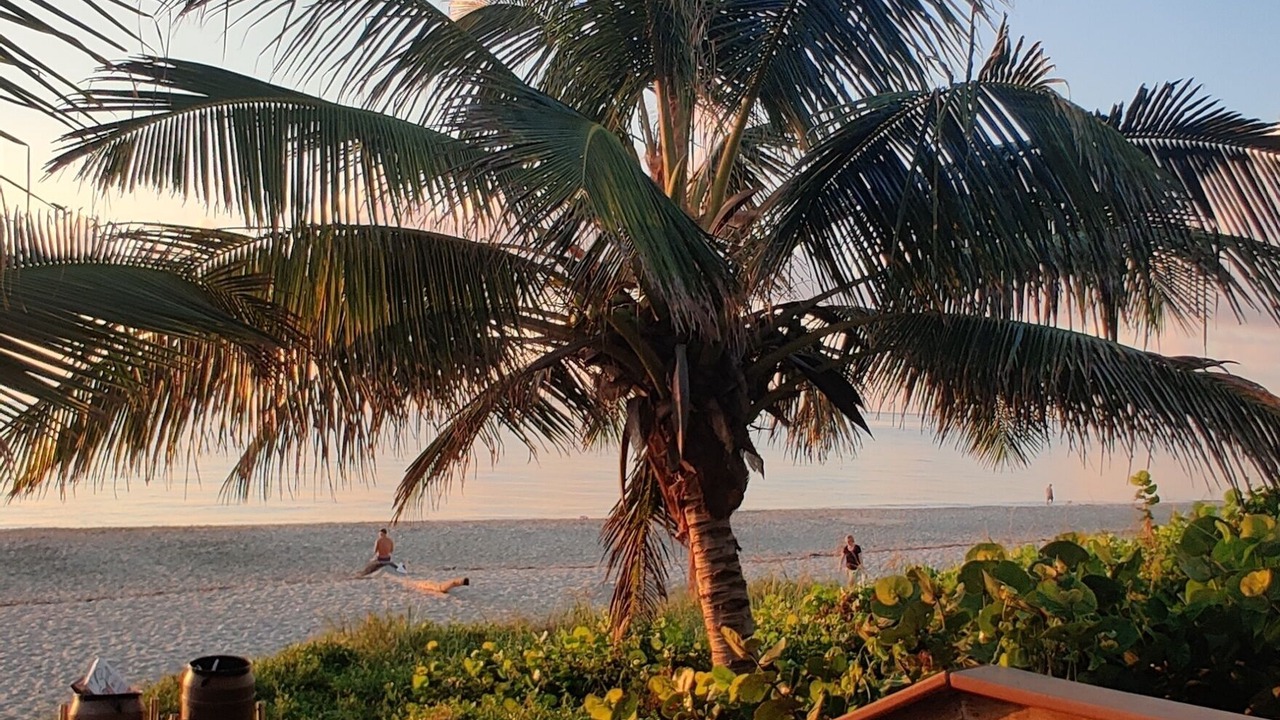 Photo of Outdoor in Boynton Beach