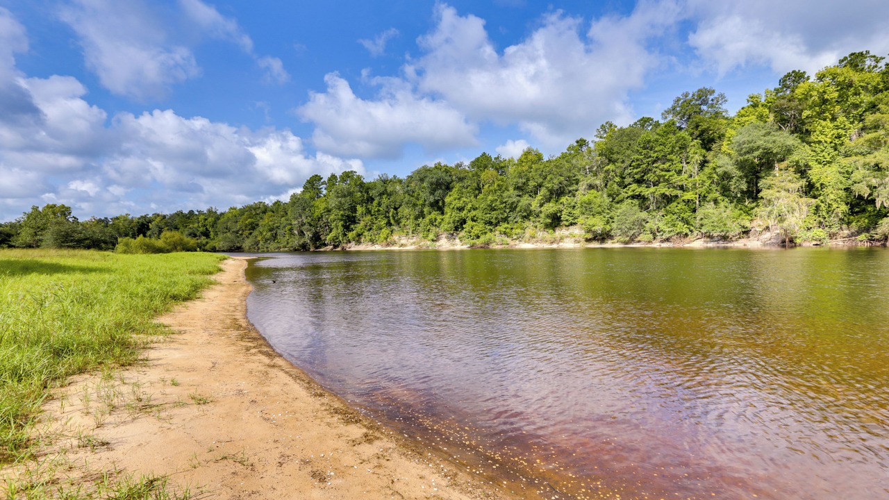 Photo of Outdoor in Telogia