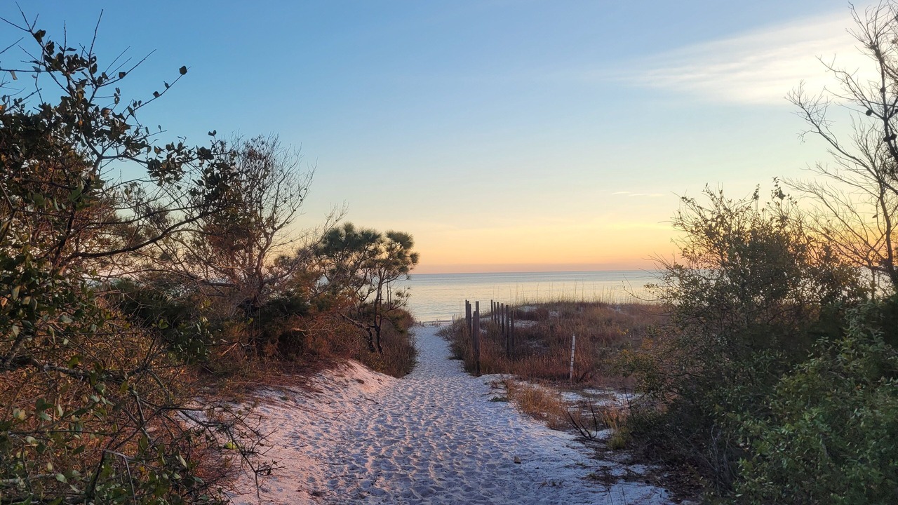 Photo of Others in Alligator Point