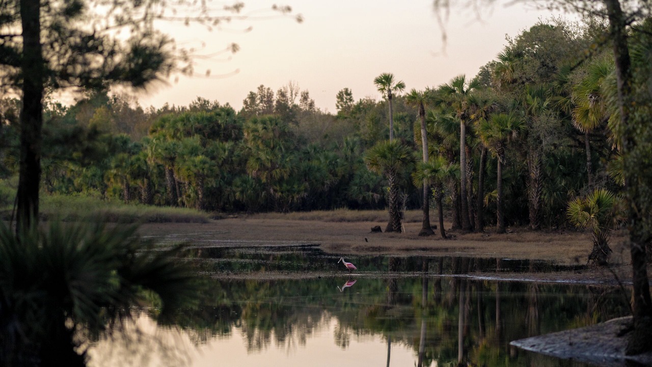Photo of Others in Chuluota