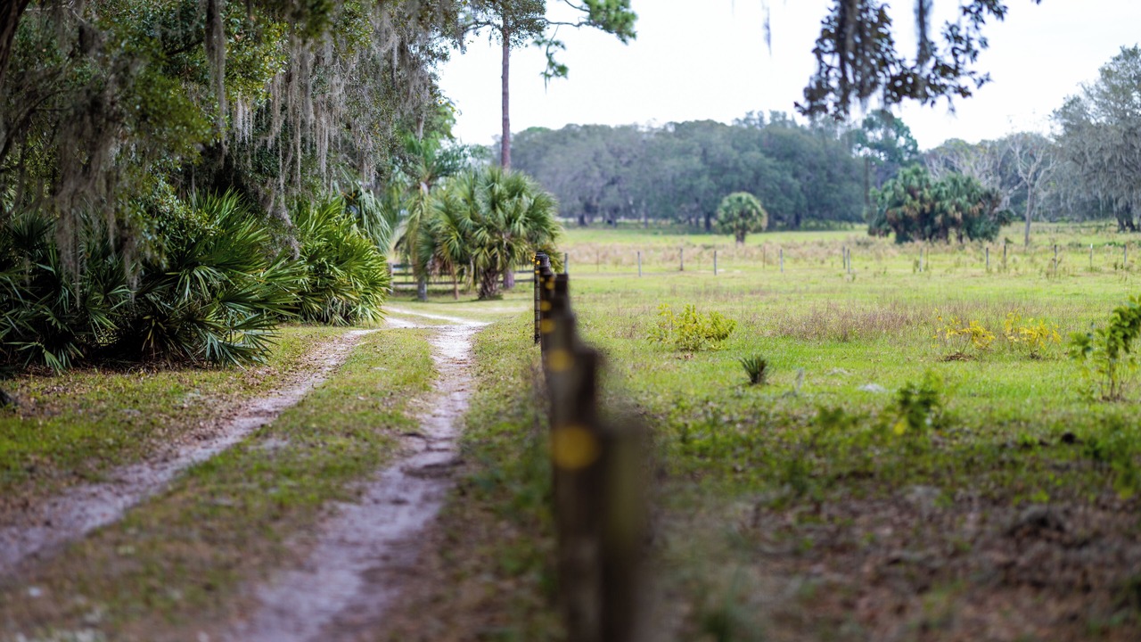 Photo of Outdoor in Chuluota