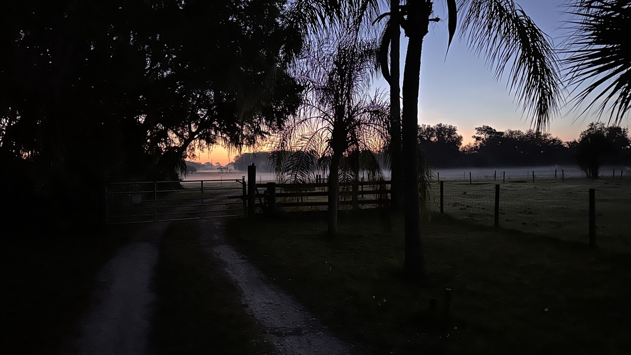 Photo of Outdoor in Chuluota
