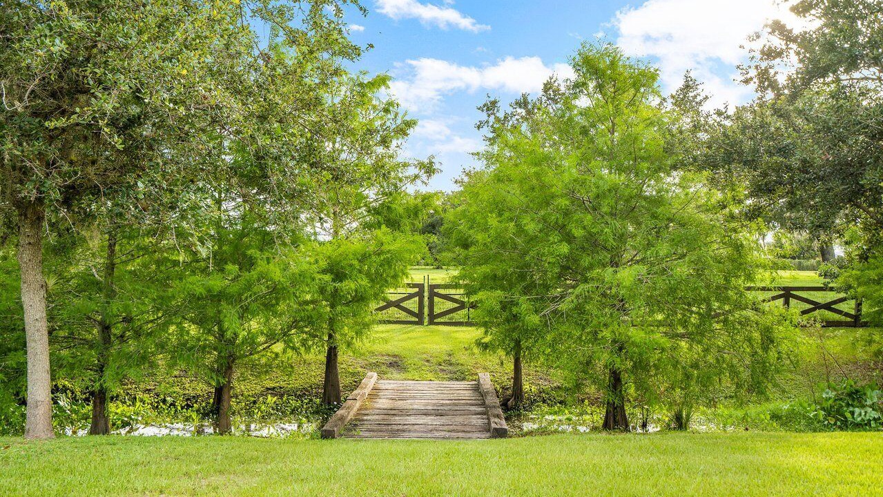 Photo of Outdoor in White City