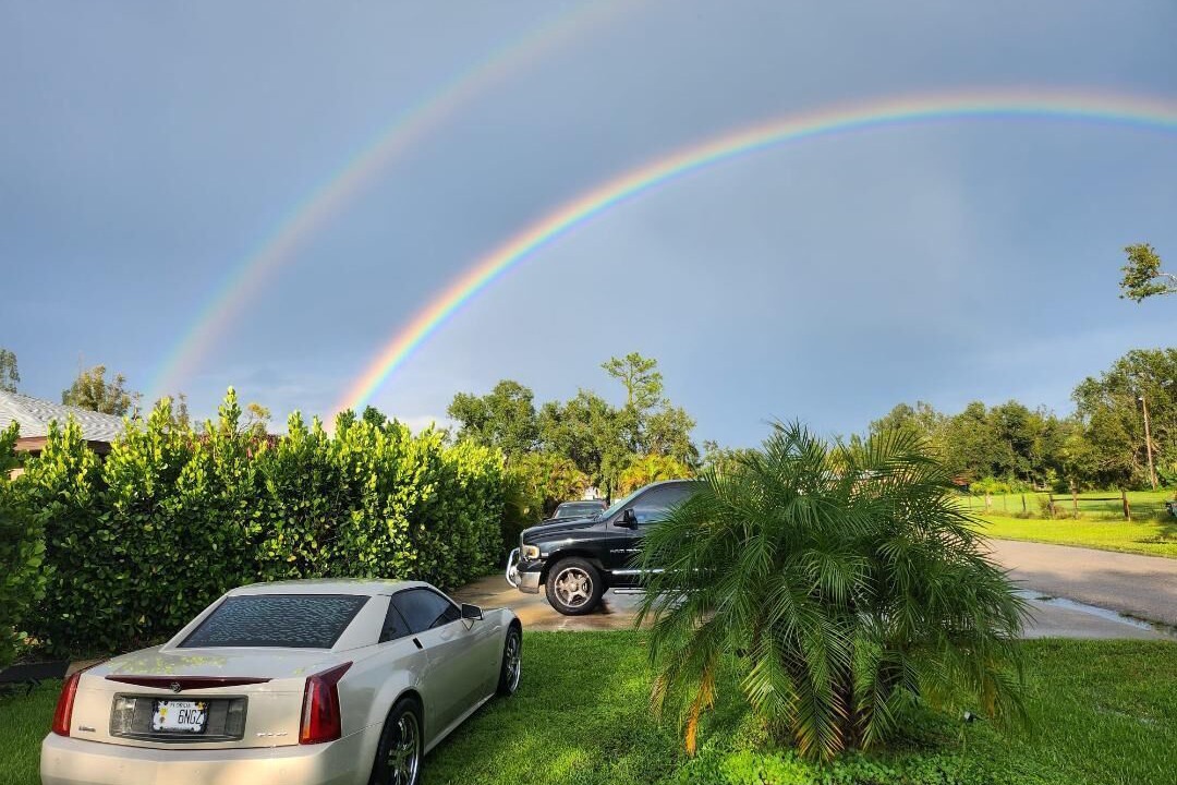 Photo of Others in Punta Gorda