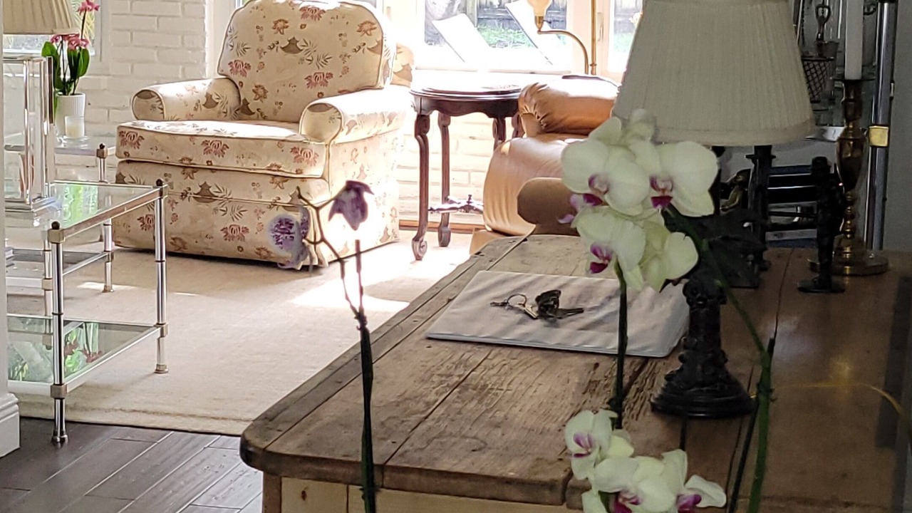 Photo of Outdoor in Poinsettia Heights