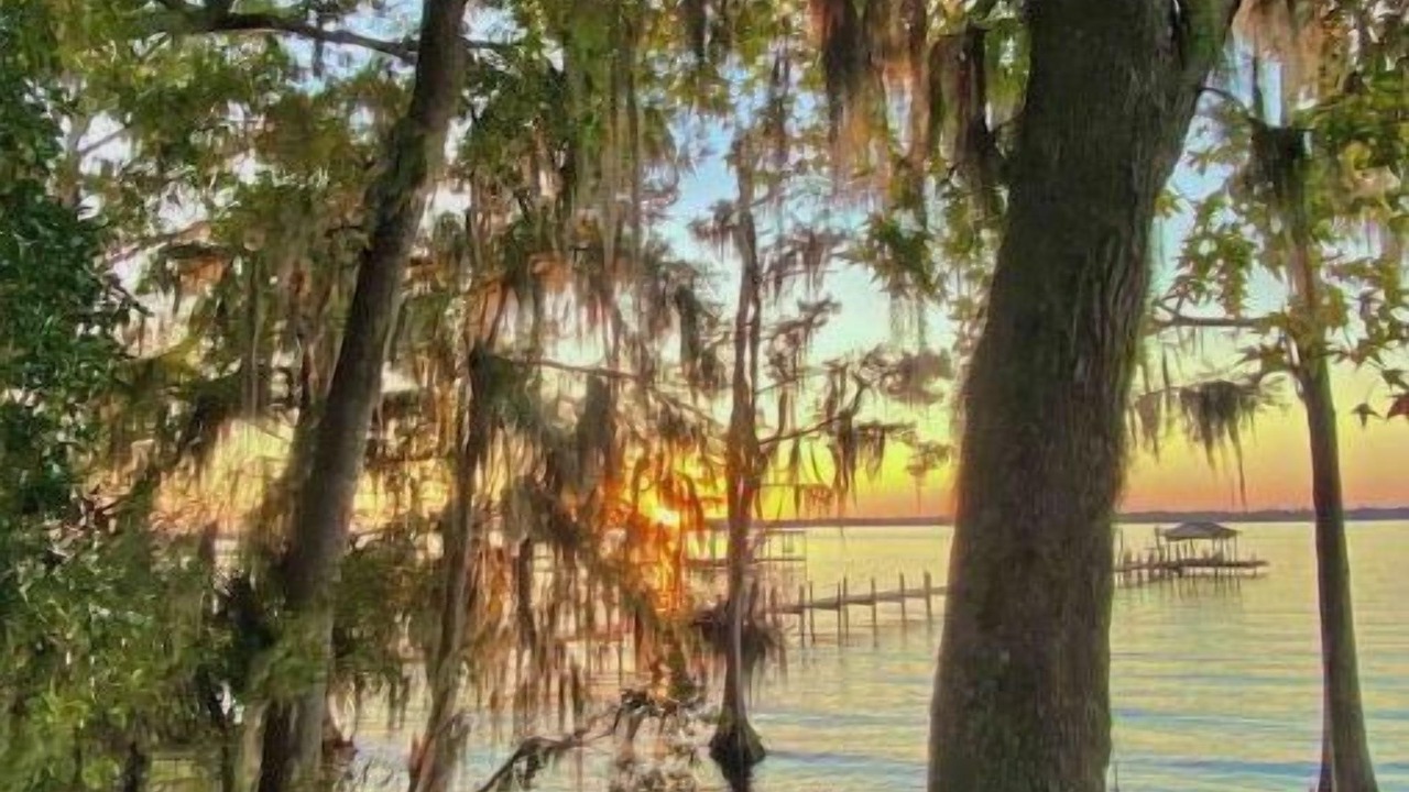 Photo of Others in Fruit Cove
