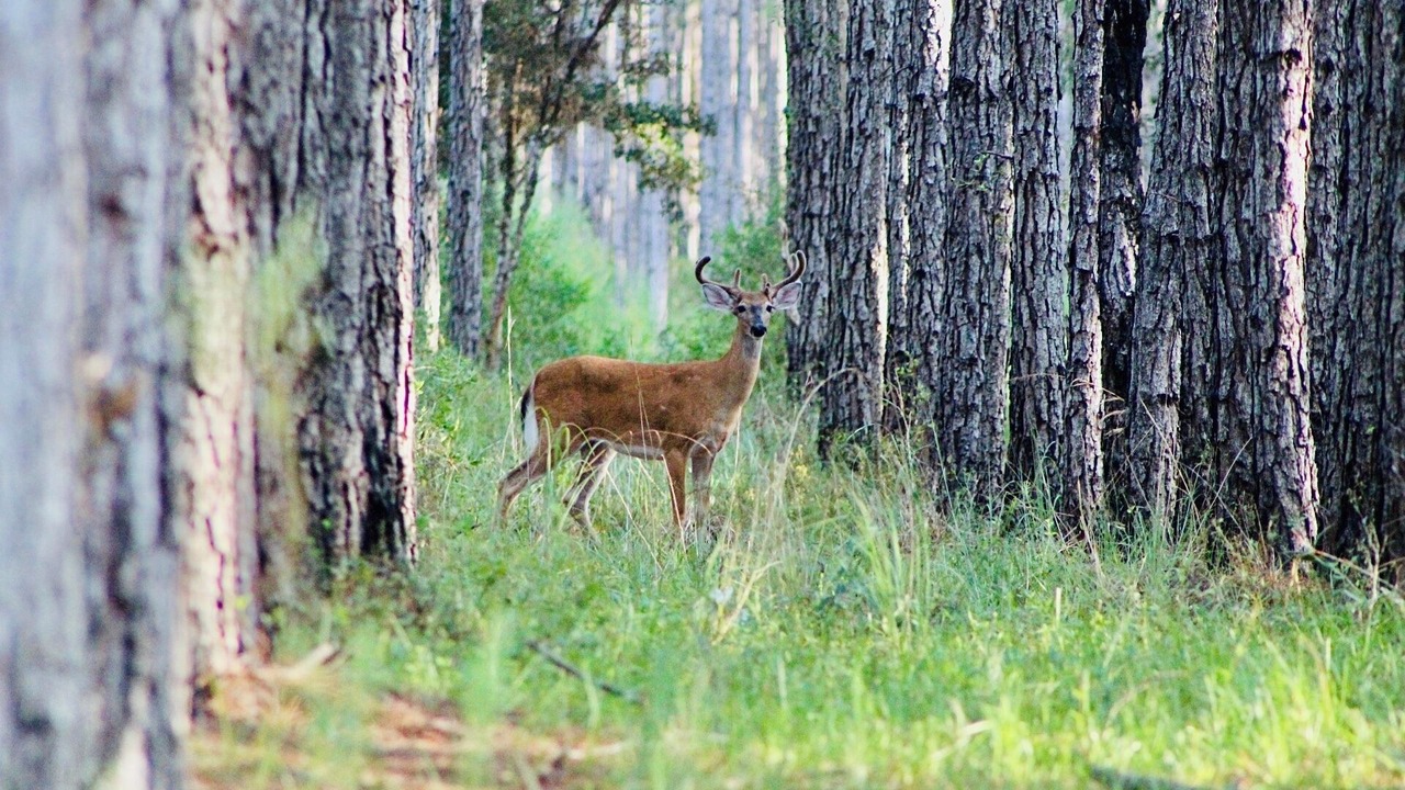 Photo of Outdoor in Salem