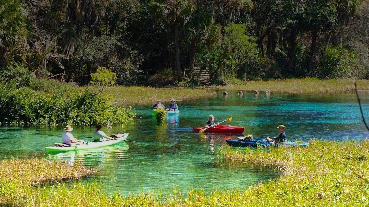 Photo of Outdoor in Dunnellon