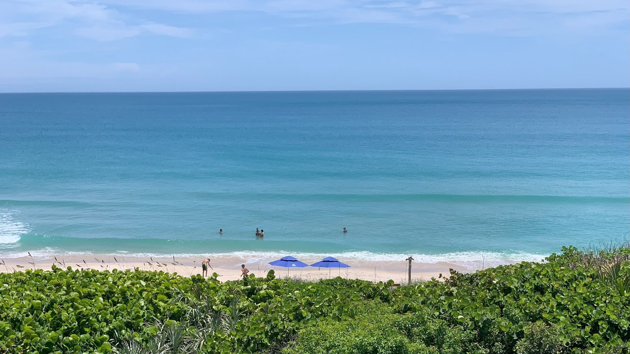Photo of Others in Melbourne Beach