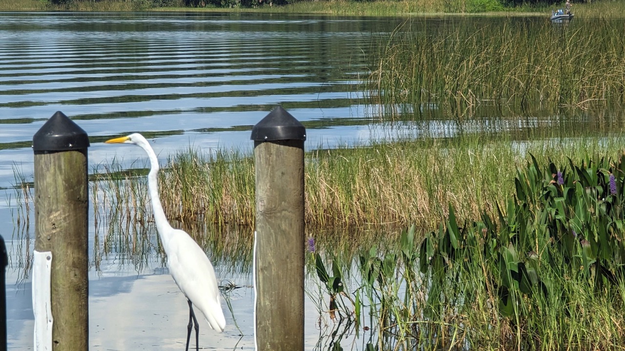 Photo of Outdoor in Orlando