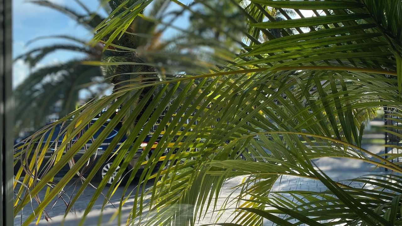 Photo of Outdoor in Little Havana