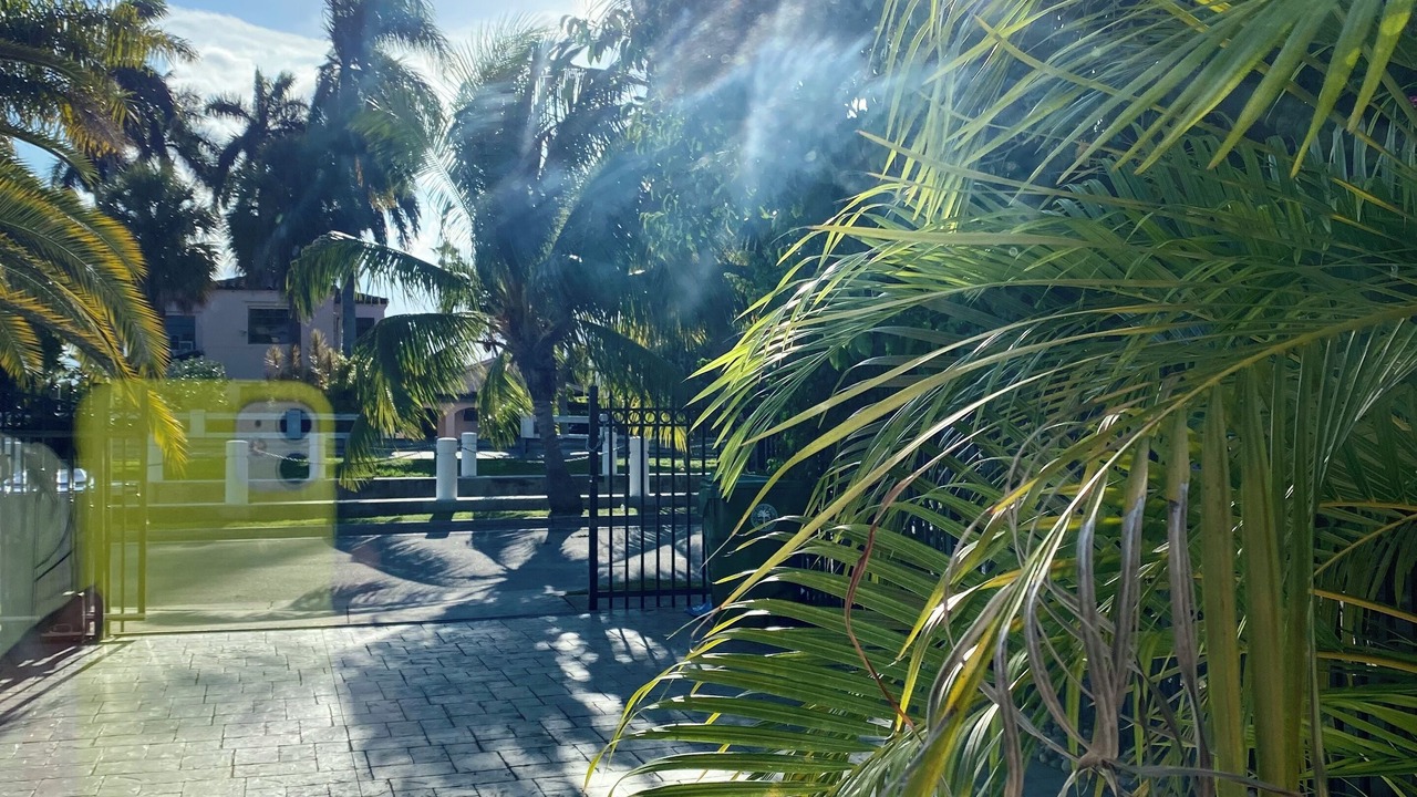 Photo of Outdoor in Little Havana