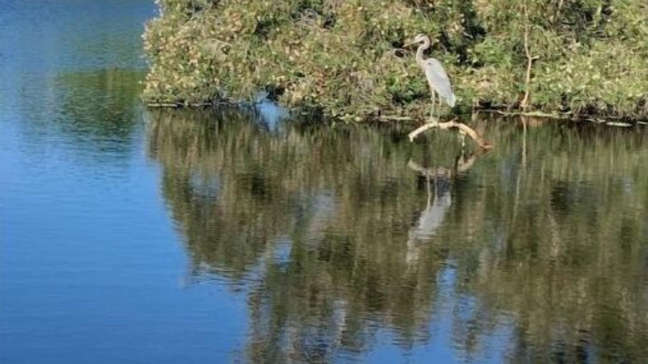 Photo of Outdoor in Pine Valley