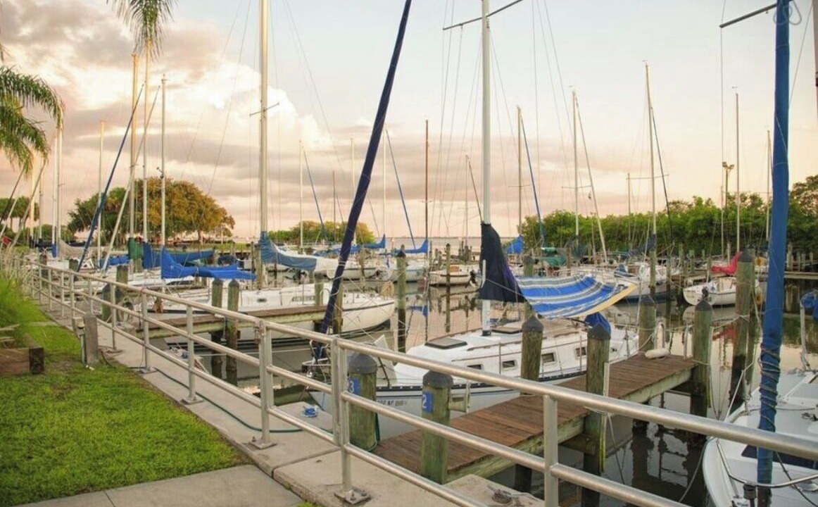 Photo of Others in Safety Harbor