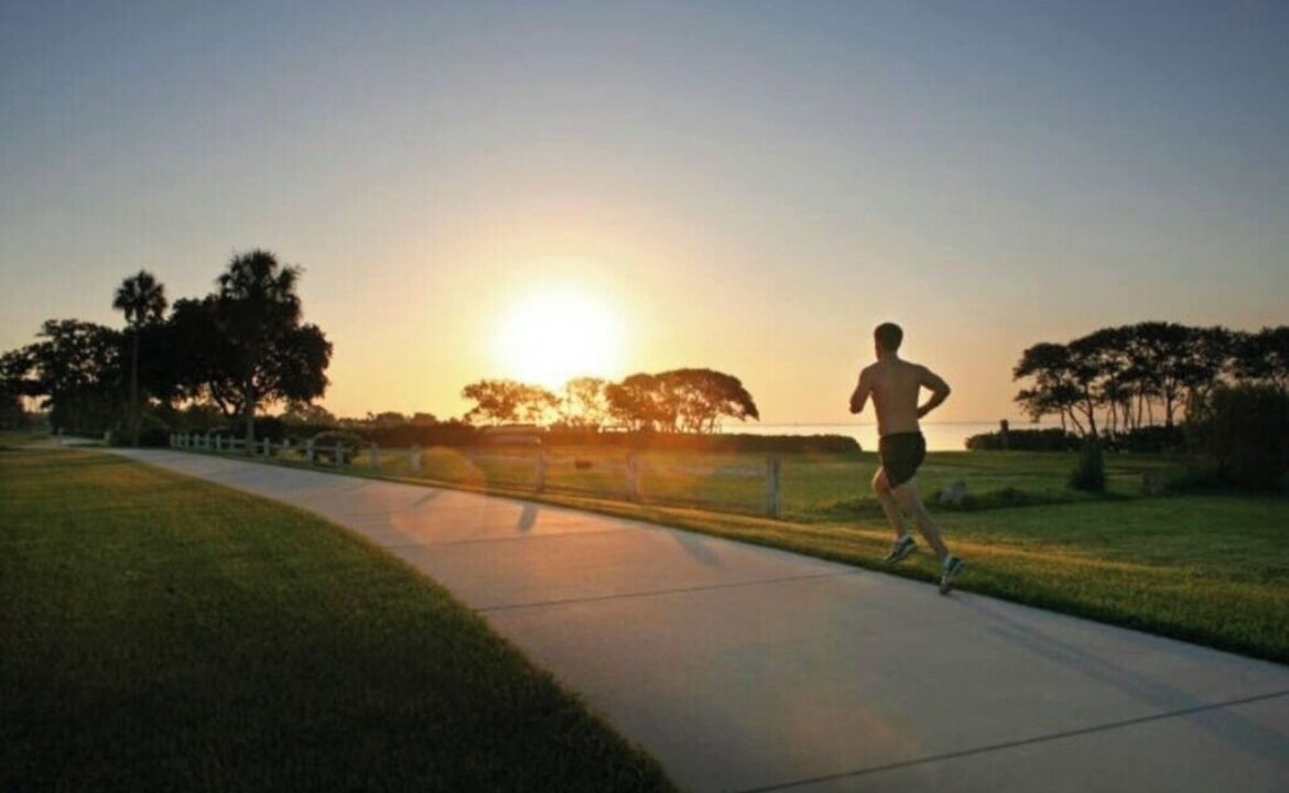 Photo of Others in Safety Harbor