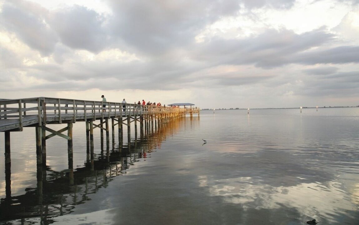 Photo of Others in Safety Harbor