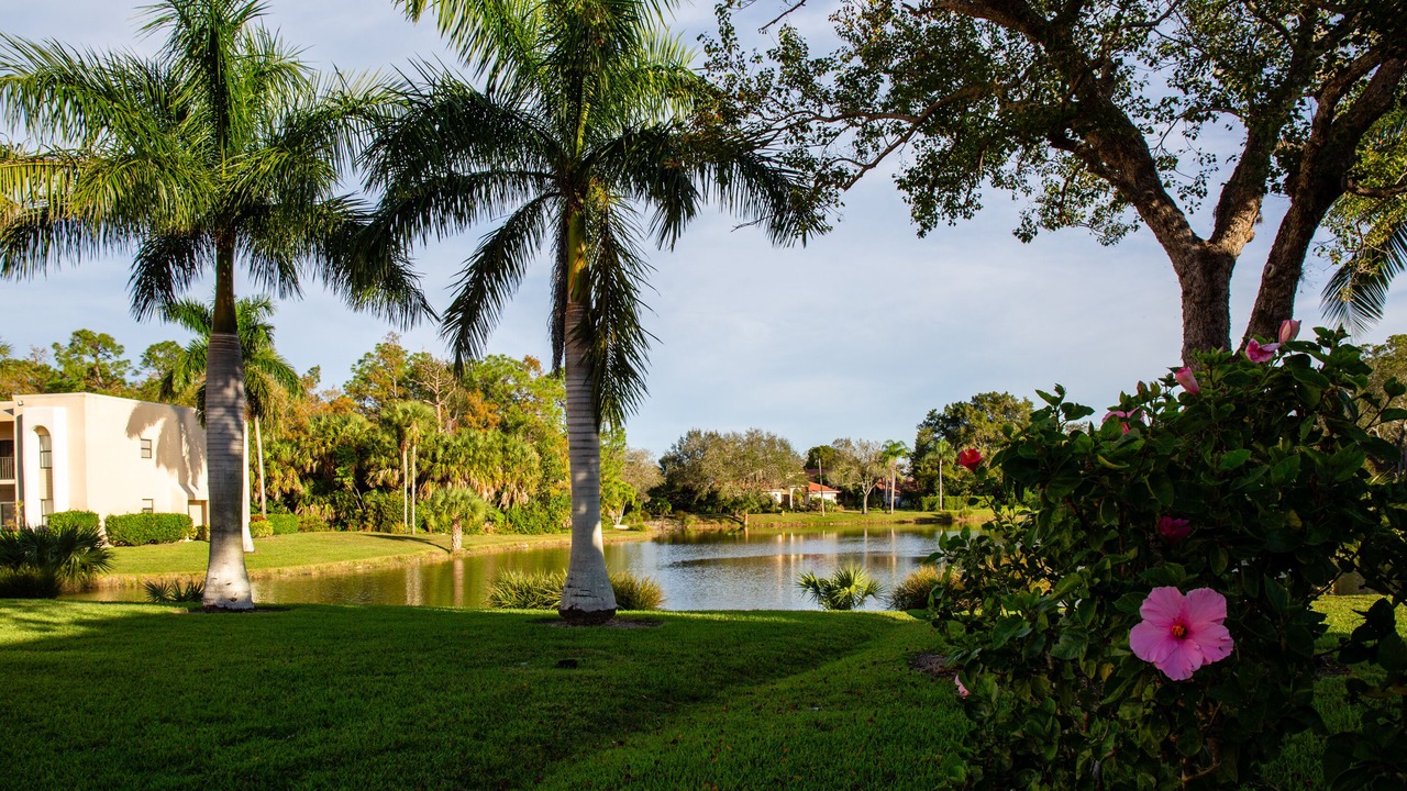 Photo of Outdoor in Central Naples