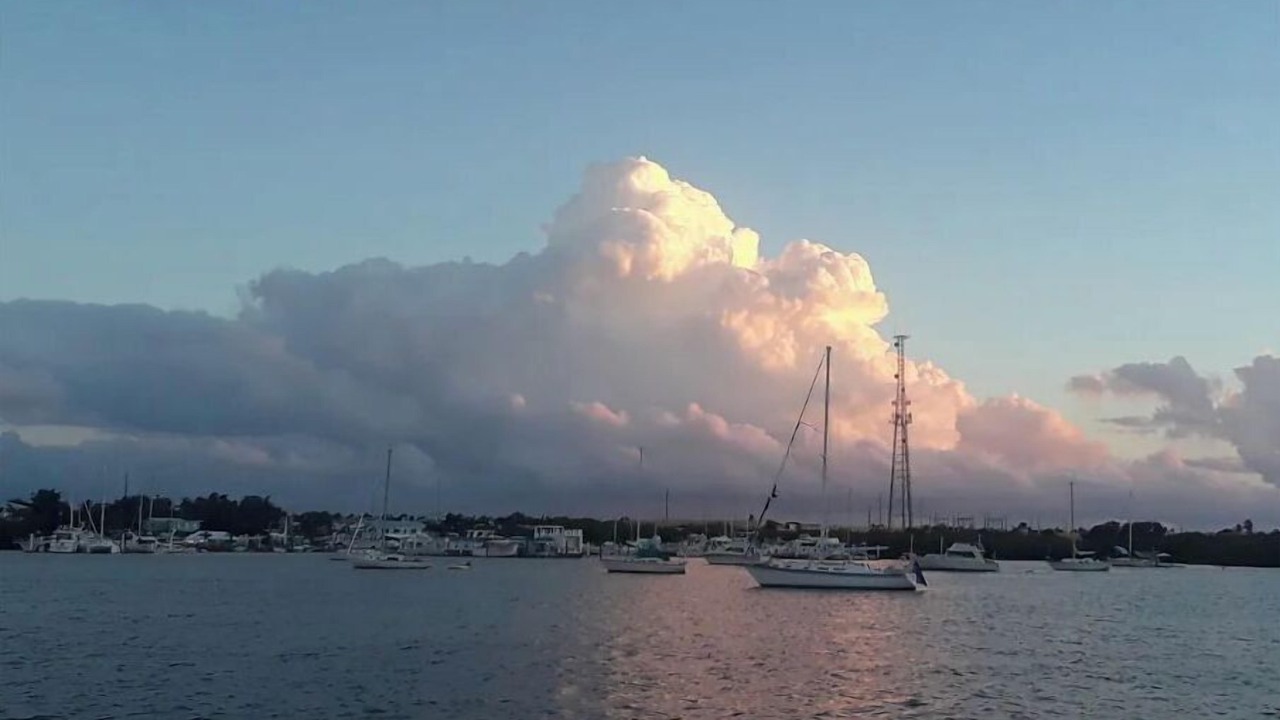 Photo of Others in Tavernier