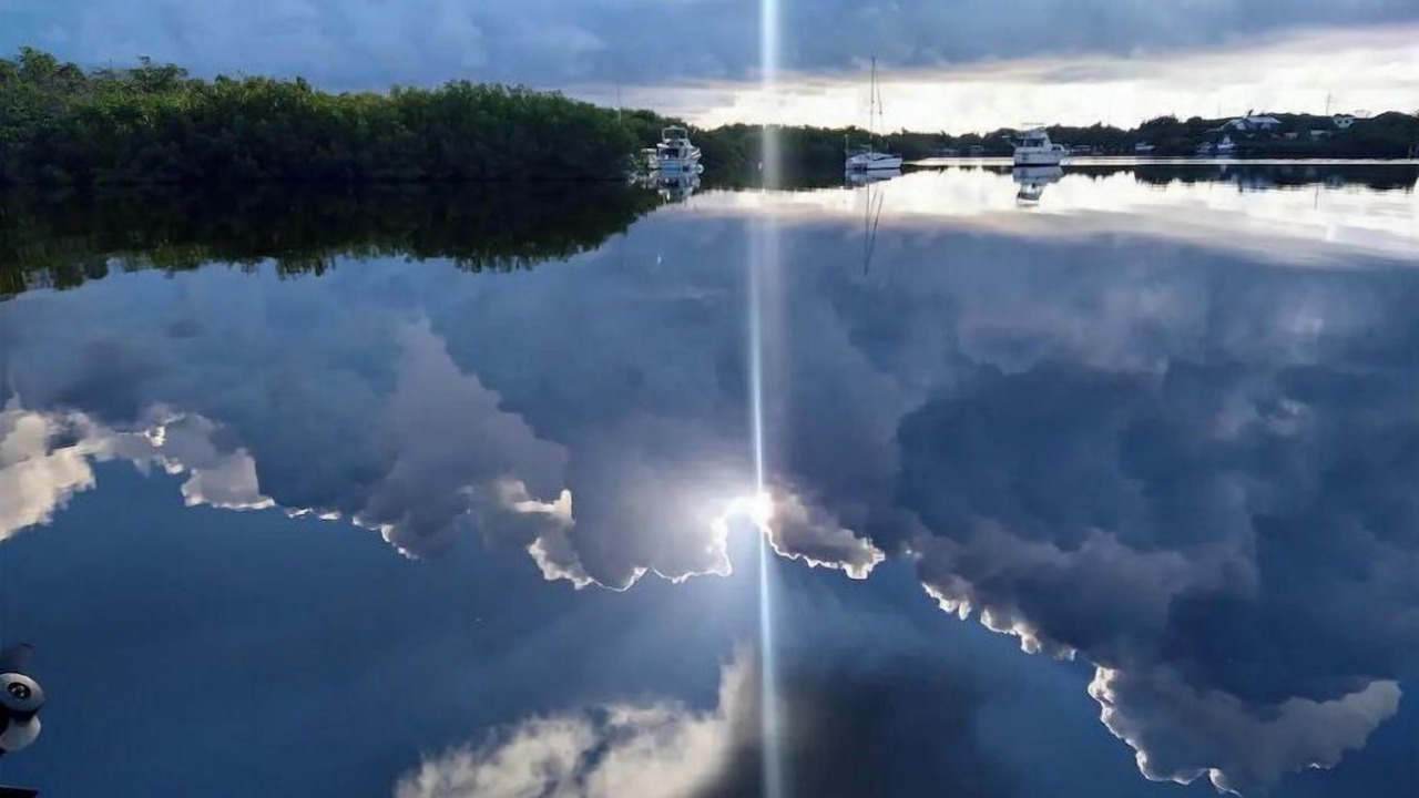 Photo of Others in Tavernier
