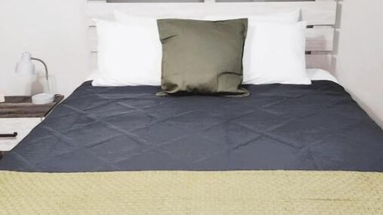 Photo of Bedroom in Lake Magdalene