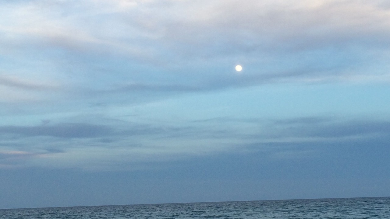 Photo of Others in Fort Pierce Shores