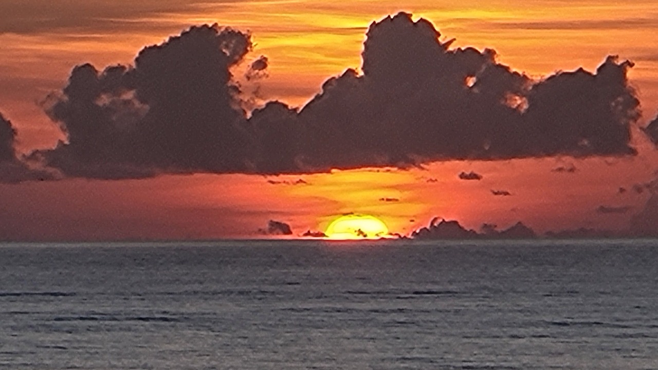 Photo of Others in Fort Pierce Shores