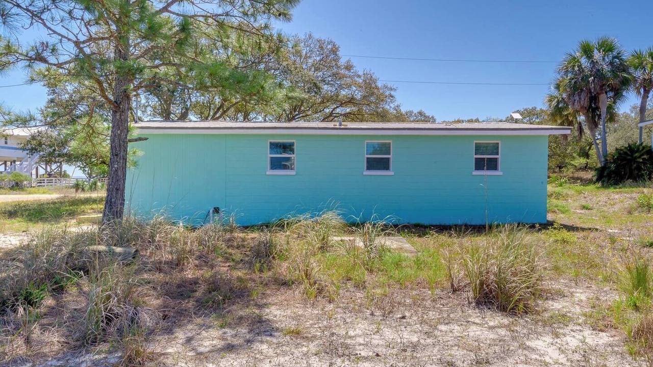 Photo of Outdoor in Alligator Point