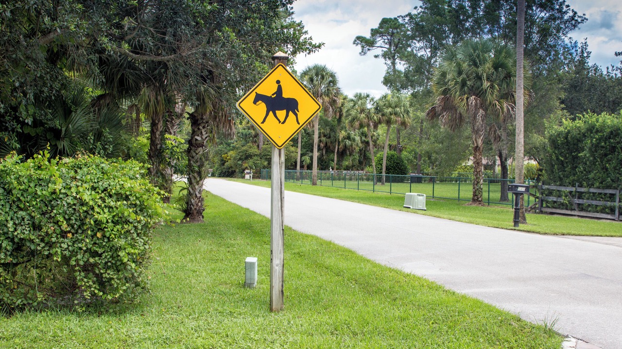 Photo of Outdoor in Little Ranches
