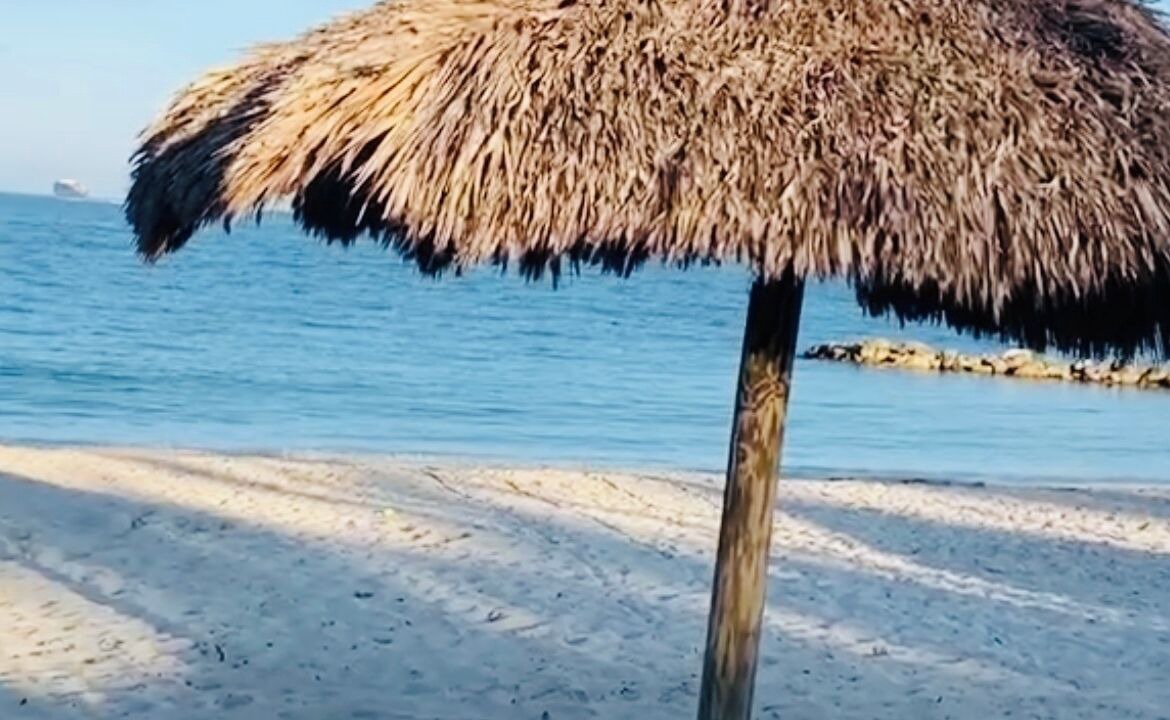 Photo of Others in Seybold
