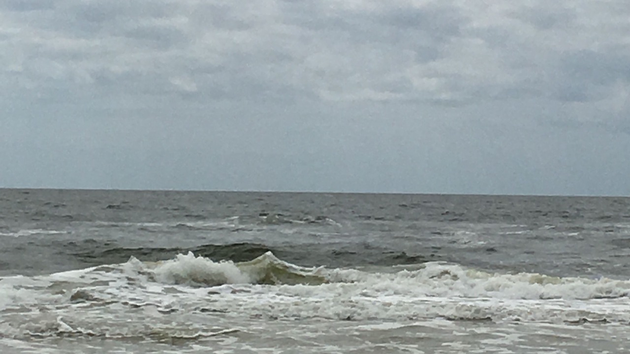 Photo of Others in Foley